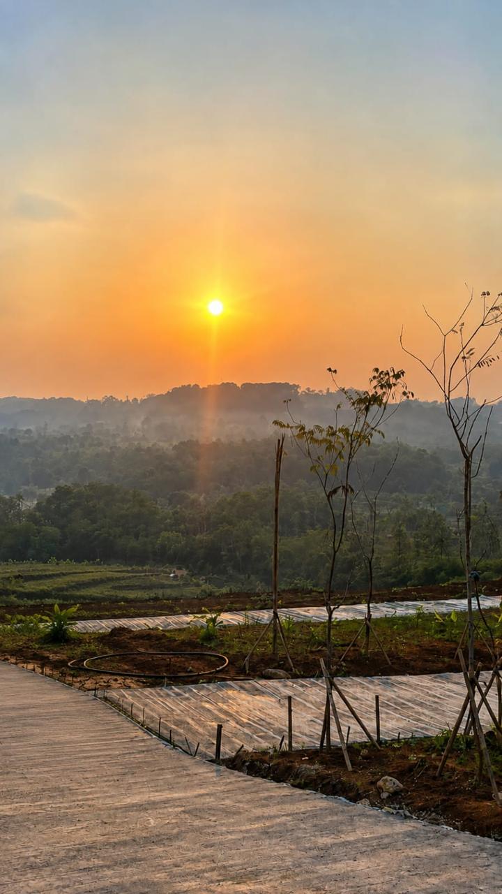 Kontur lahan kavling The Hanami Rivera yang mengikuti kemiringan perbukitan Jonggol